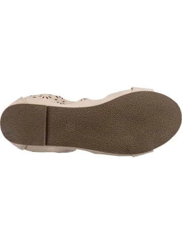 Ambellis Flowered Ballerinas Günstig Kaufen – Bild 7